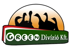 GREEN-DIV�ZI� Kft.