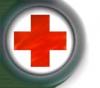 Pharmafut�r Bt.