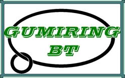 Gumiring Bt.