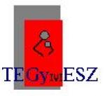Budapest F�v�rosi �nkorm�nyzat�nak Ter�leti Gyermekv�delmi Szolg�lata-TEGYESZ